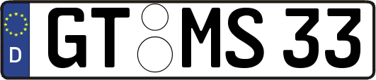 GT-MS33