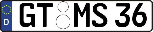 GT-MS36