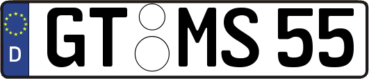 GT-MS55