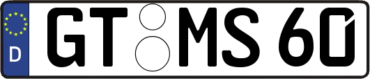 GT-MS60