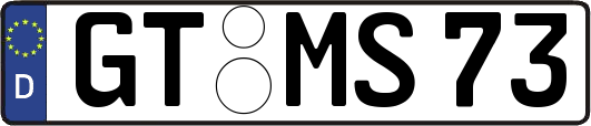 GT-MS73