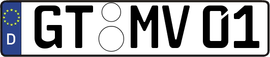 GT-MV01