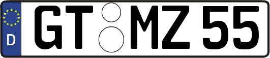 GT-MZ55