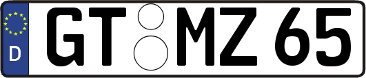 GT-MZ65