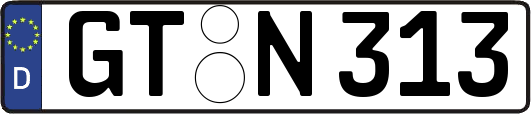GT-N313