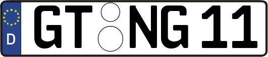 GT-NG11