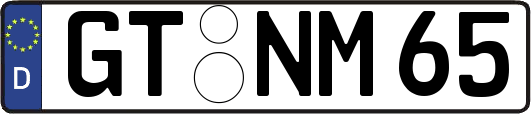 GT-NM65