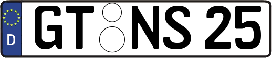 GT-NS25