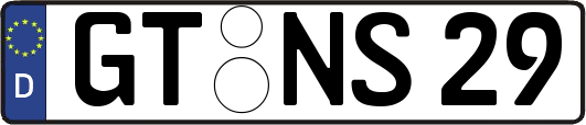 GT-NS29