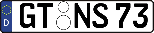 GT-NS73