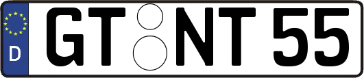 GT-NT55