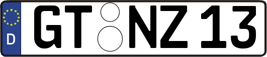GT-NZ13