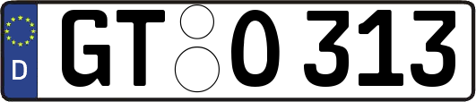 GT-O313