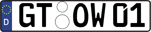 GT-OW01