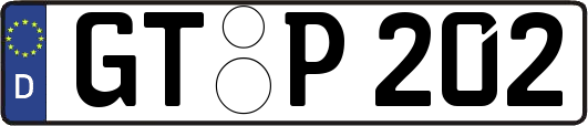 GT-P202