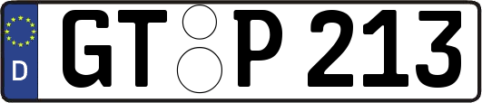 GT-P213