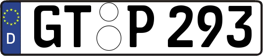 GT-P293