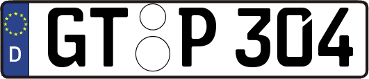 GT-P304