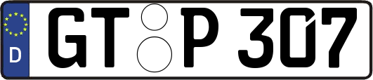 GT-P307