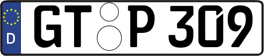 GT-P309