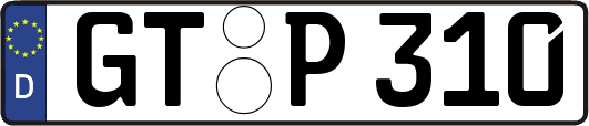GT-P310