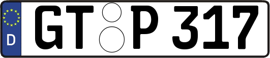 GT-P317