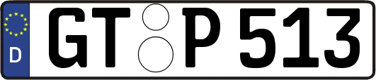 GT-P513