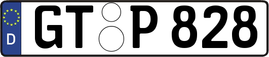 GT-P828