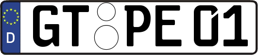GT-PE01