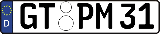 GT-PM31
