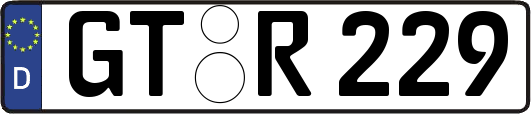 GT-R229