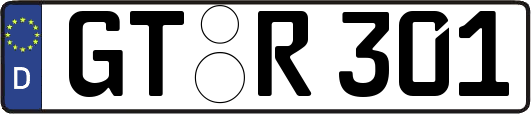 GT-R301