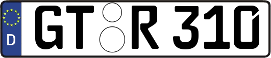 GT-R310