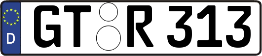 GT-R313