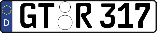 GT-R317