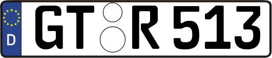 GT-R513