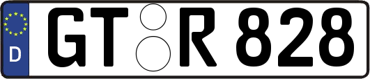 GT-R828