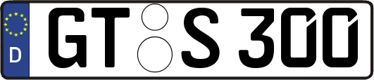 GT-S300