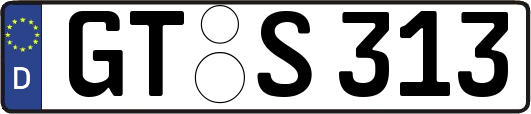 GT-S313