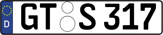 GT-S317