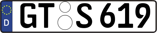 GT-S619