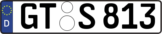 GT-S813
