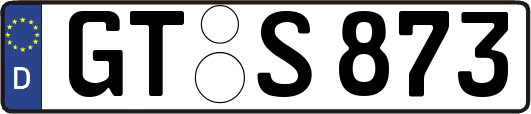 GT-S873