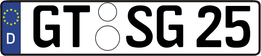 GT-SG25