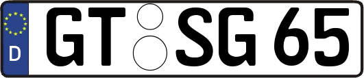 GT-SG65