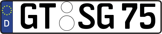GT-SG75