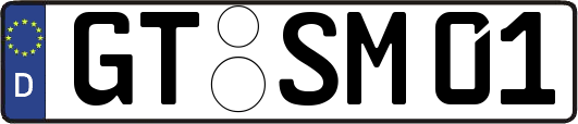 GT-SM01