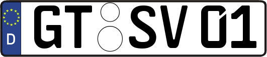 GT-SV01