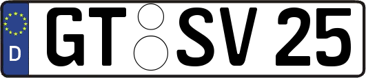 GT-SV25