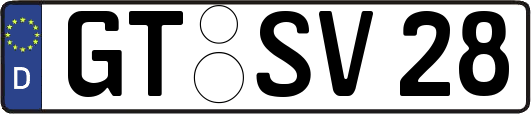 GT-SV28